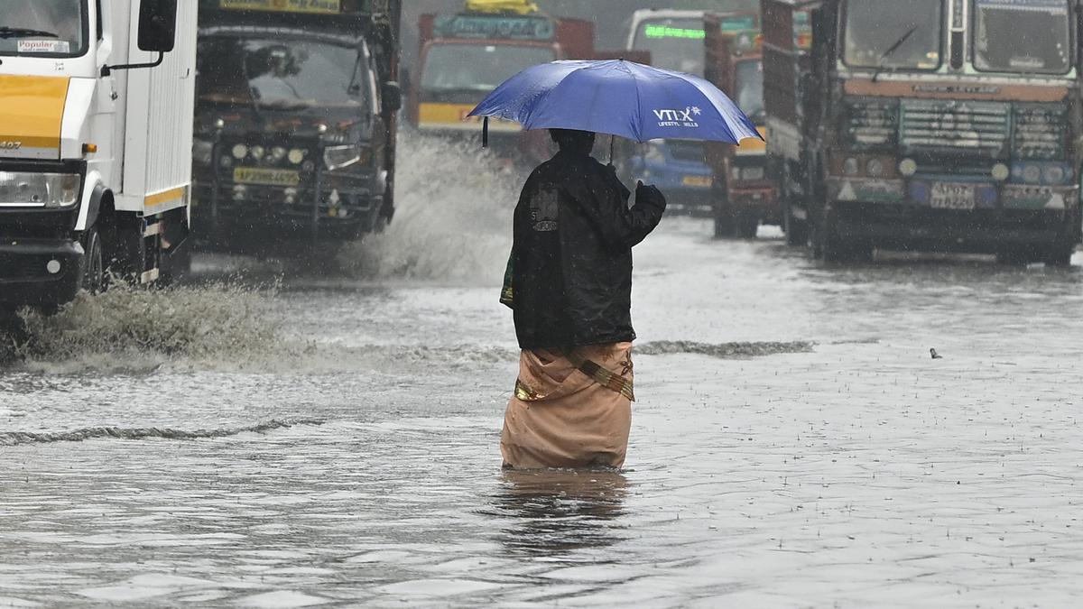 Tamil Nadu rains LIVE updates: Holiday for schools in Chennai and neighbouring districts